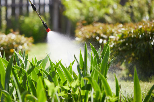 24/7 Emergency Cockroach Control experts in Owenton, KY